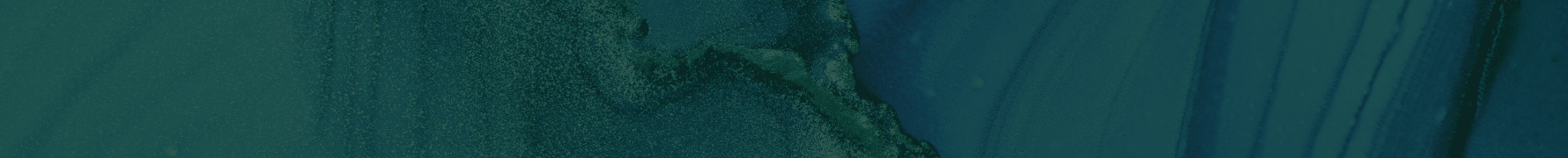 blog banner